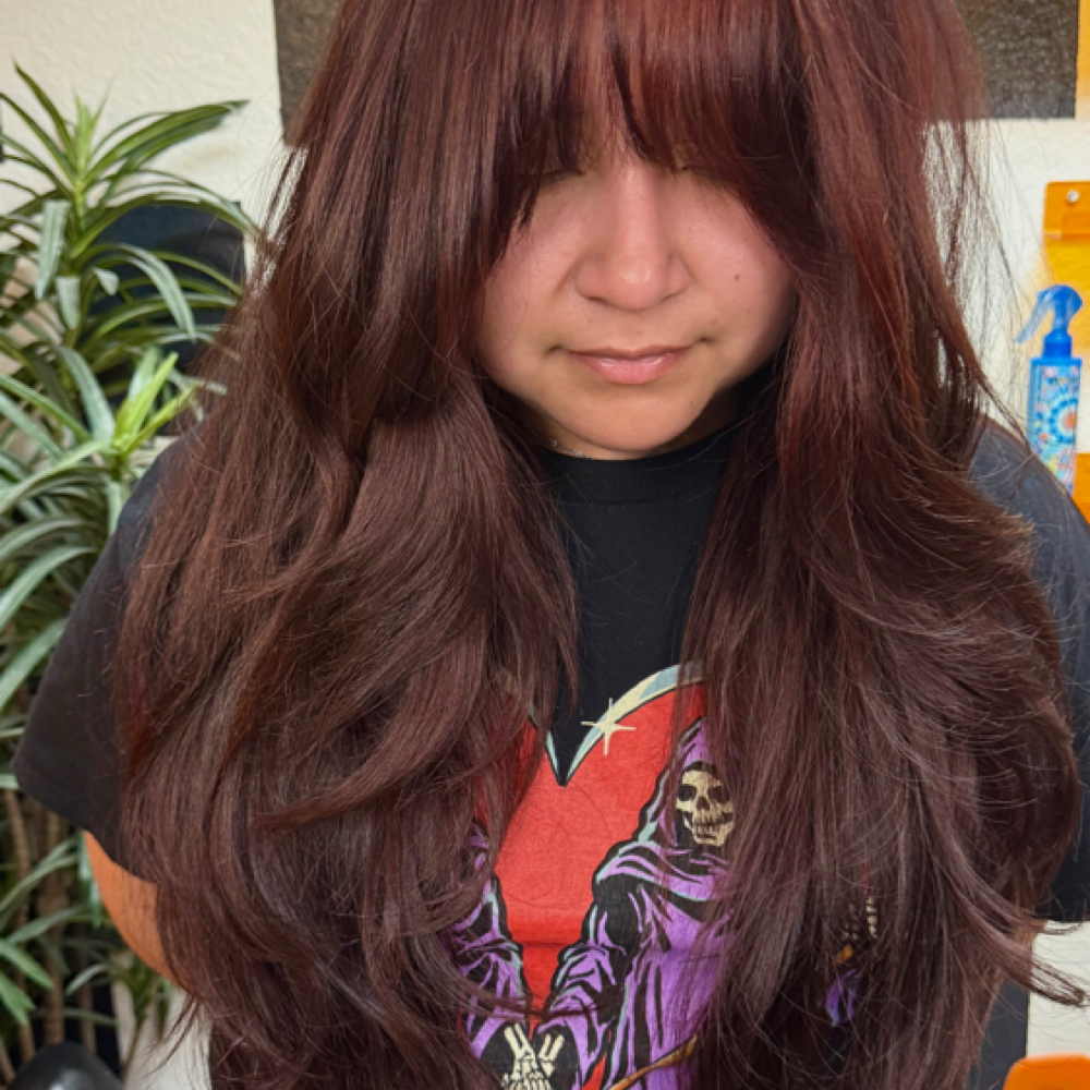 Cut Add On To Color Service at Alicia At The Hippie Hair Room in Weatherford, TX