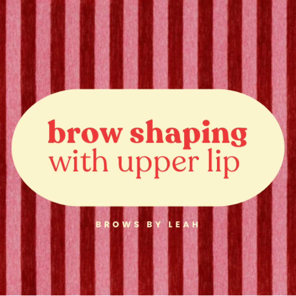 Returning Client Brow Wax + Lip Wax at Brows by Leah in Millbury, MA