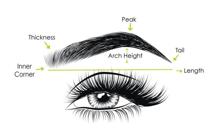 Brow Wax