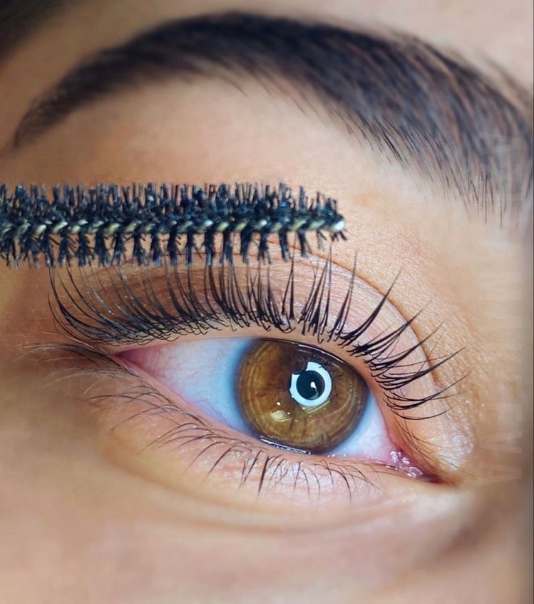 Brow + Lash Tint