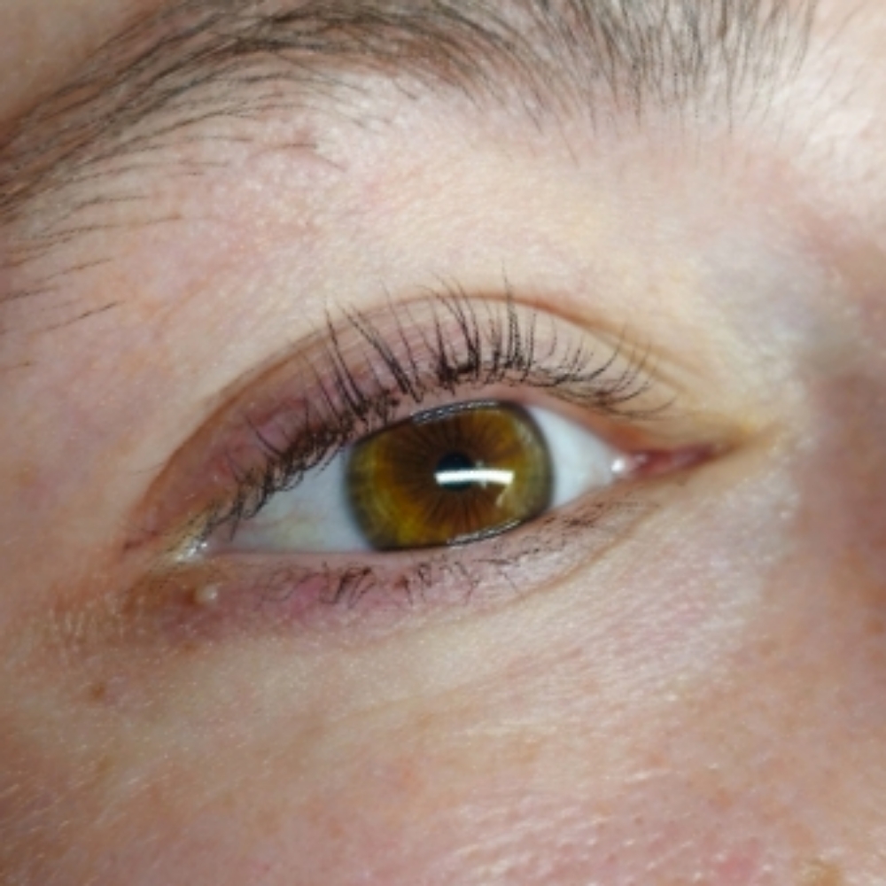 Lash Lift + Tint at Hallie’s House Of Beauty in Tyler, TX