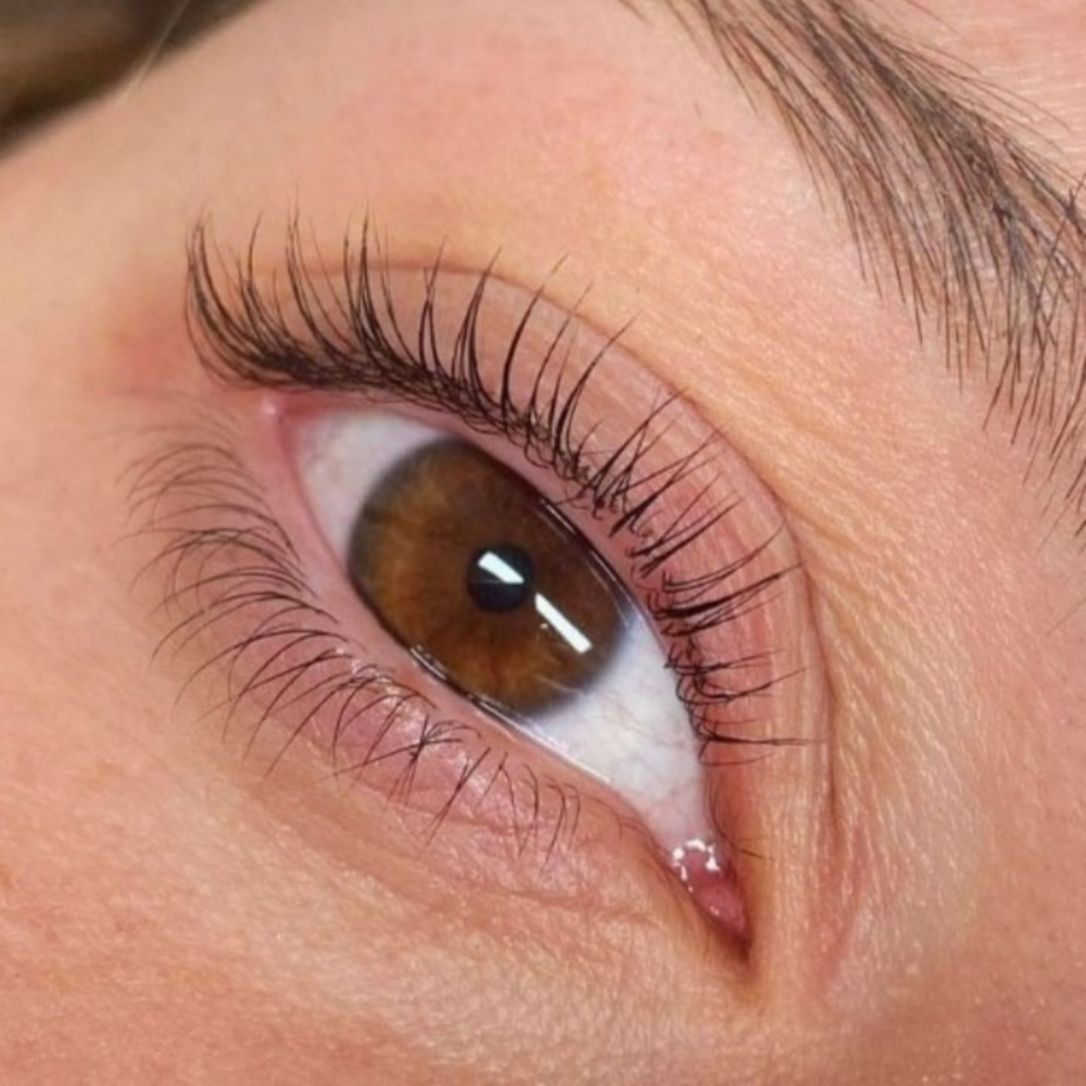 Lash Lift at Babyydollbrows in Tampa, FL
