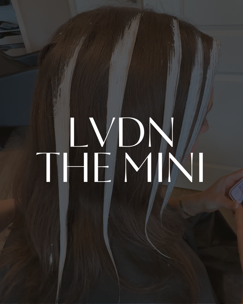 THE LVDN MINI
