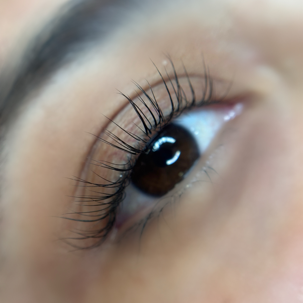 Lash Lift