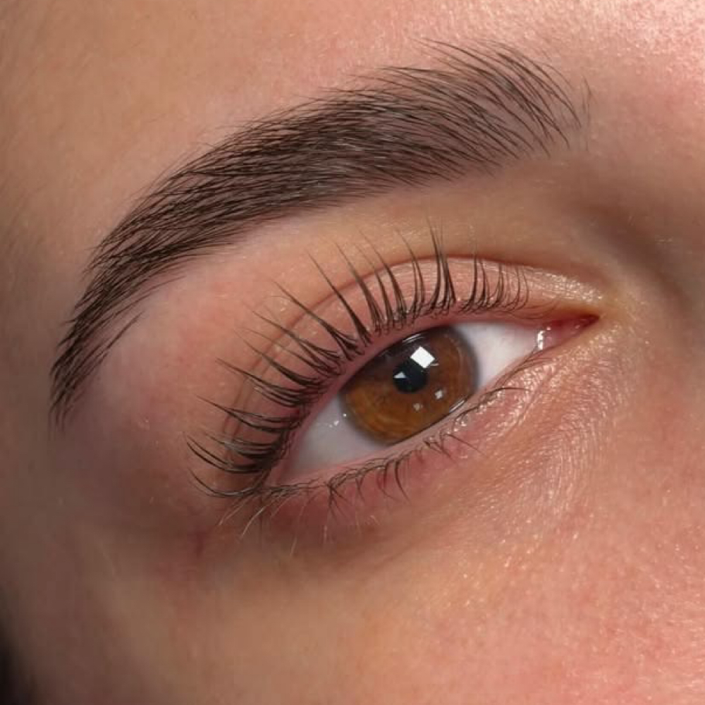 KoreanLash Lift at Sol Skin Esthetics in Fort Worth, TX