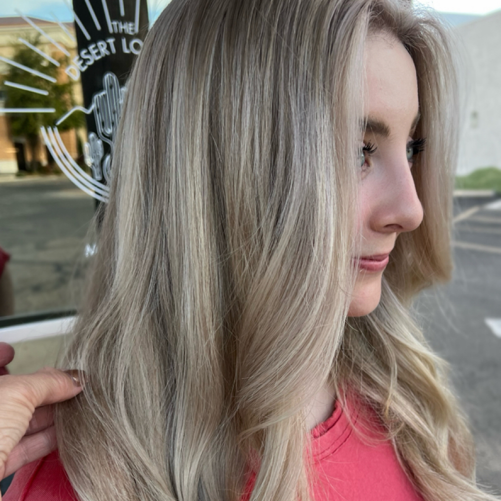 Partial Highlight at DZign Color in Salt Lake City, UT