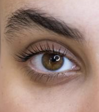 Lash Lifting+ Tinting