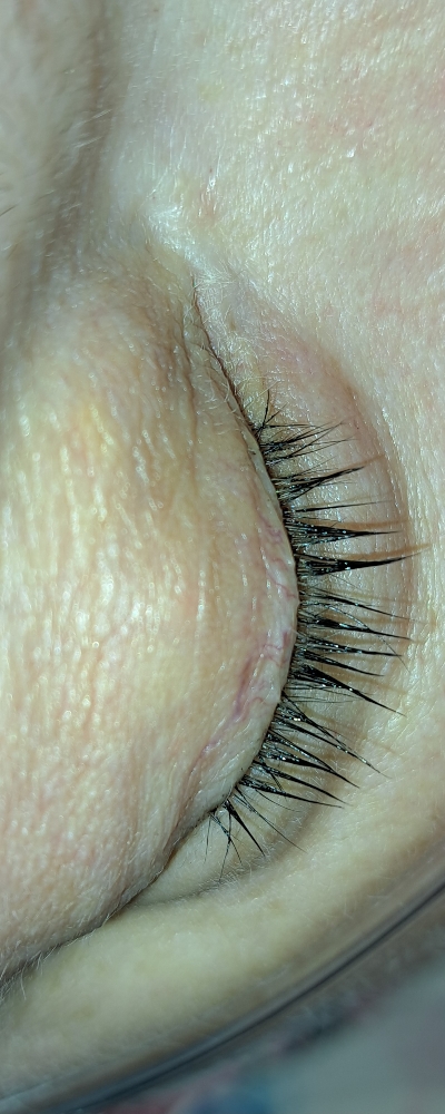 Lash Tinting