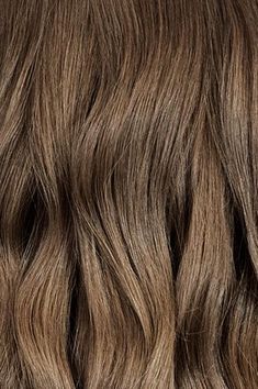Express Root Touch Up + Haircut