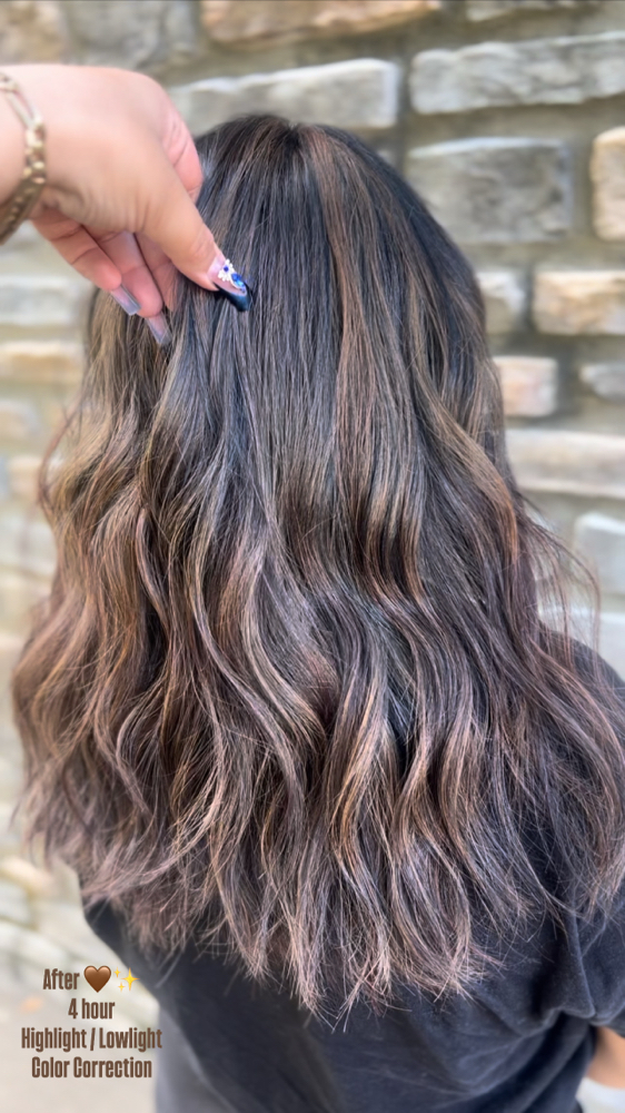 Balayage | Lived In Dimension