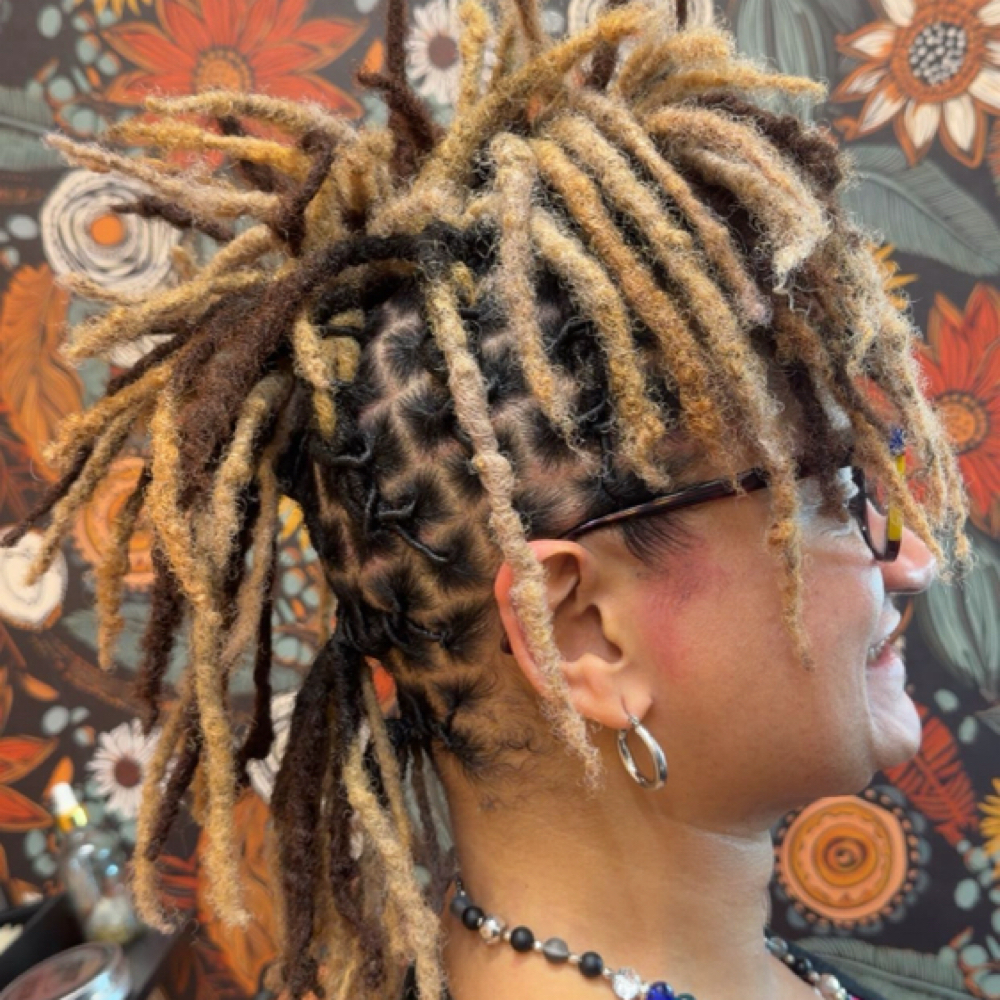 All Over Loc Highlight at Bri Can Do All Things in Colorado Springs, CO