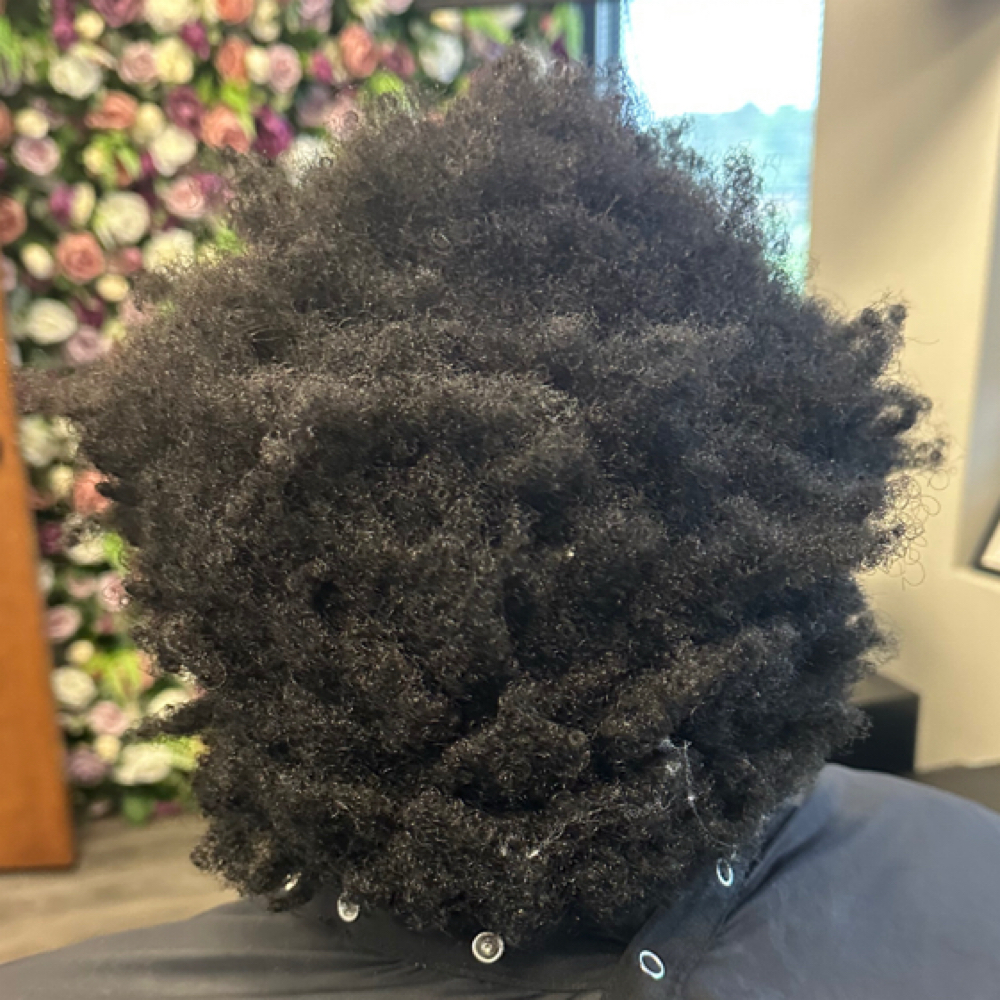 Detangle Service at Natural Halo LLC in Greensboro, NC