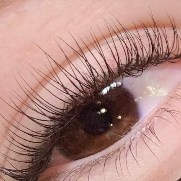 Lash Touch-Up 2 Week