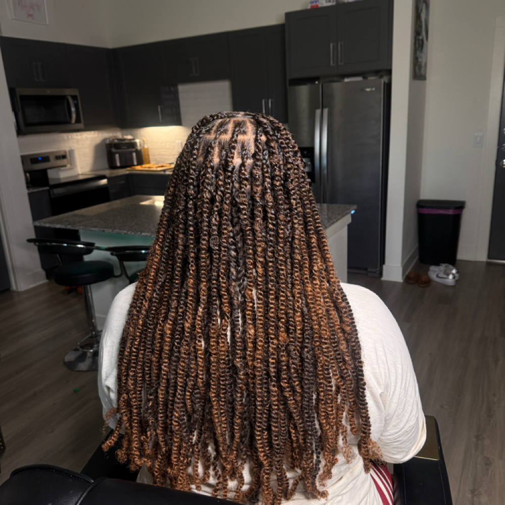 Smedium Spring Twists 🩶 at DejBraids in Denton, TX