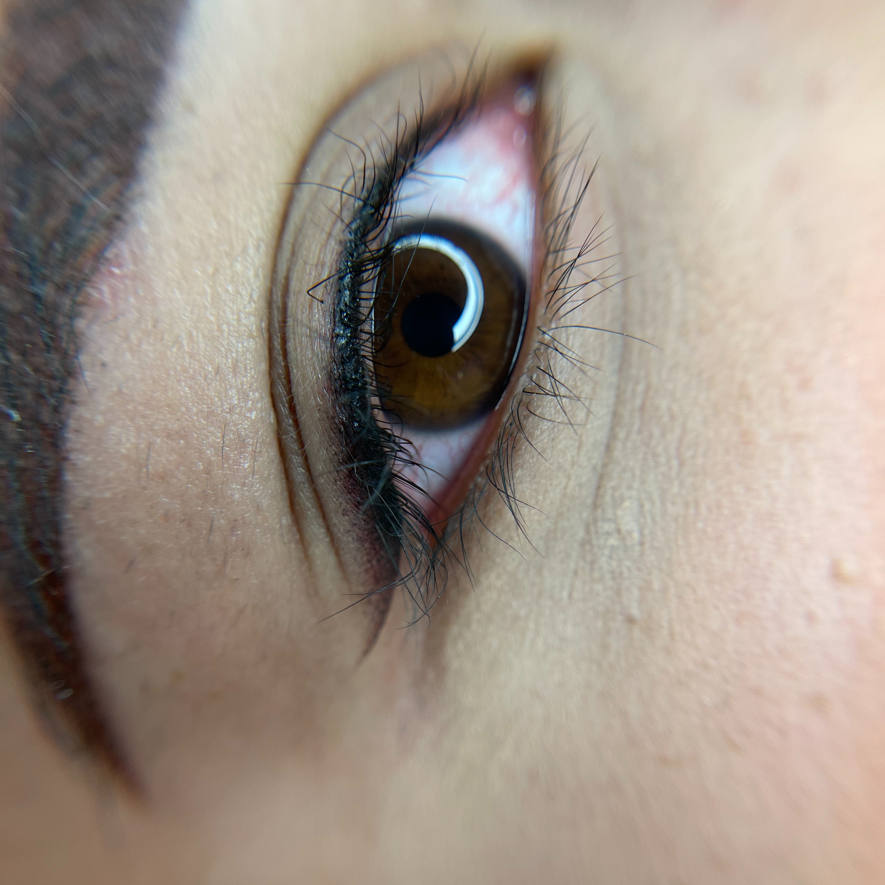 BabyLiner at Beauty Ink by Carmen LLC in Burbank, CA