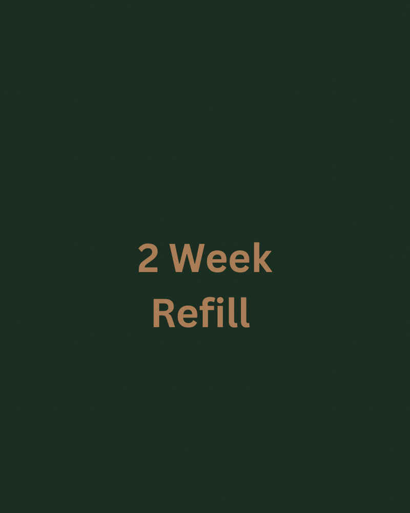Lash Refill (2 Week)
