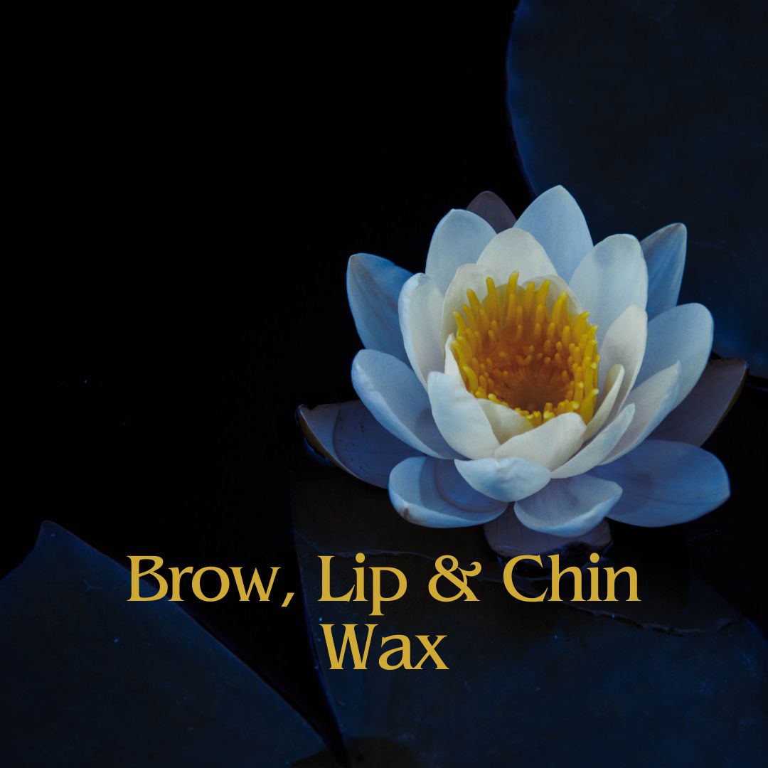 Brow, Lip & Chin Wax at Blue Lotus Beauty Spa in Sheboygan, WI