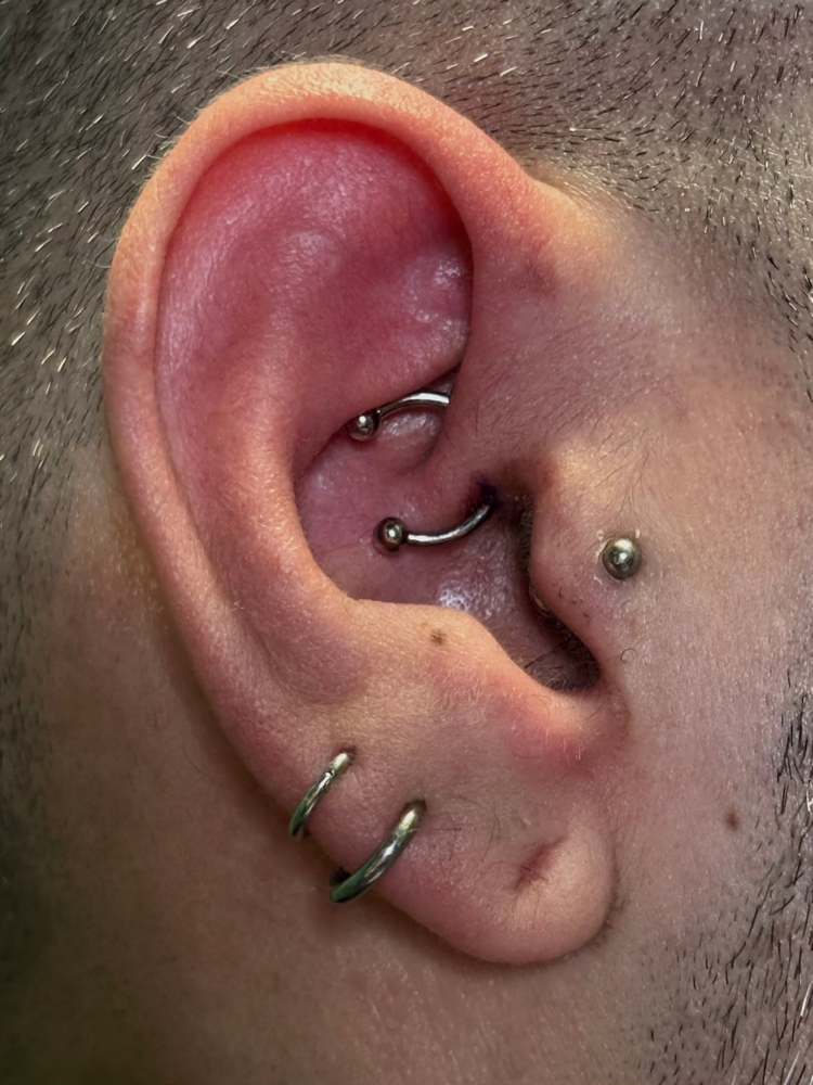 Daith Piercing