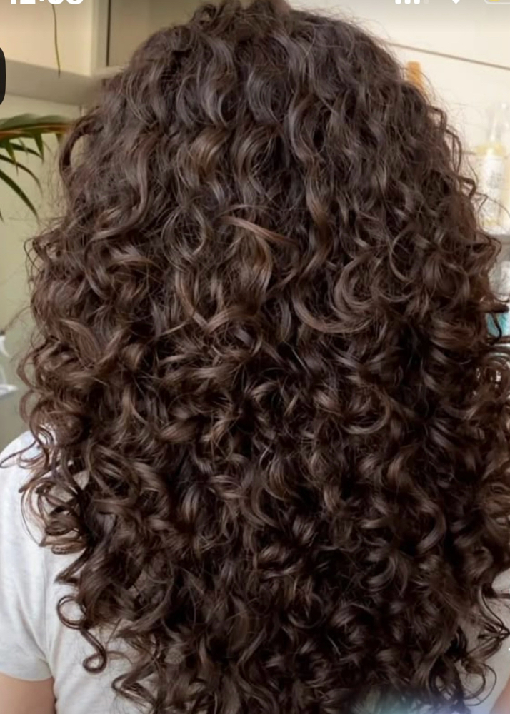 Curly Cut DeepConditioner Treatment