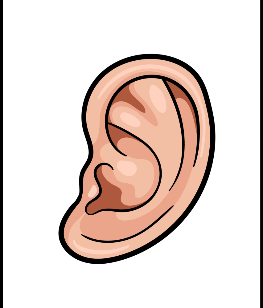 Ear Wax