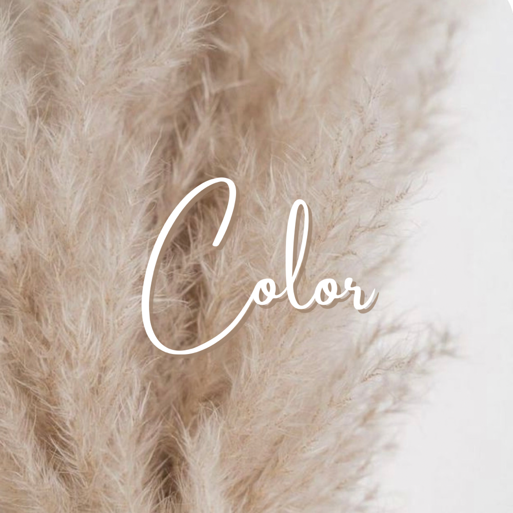 Color Consultation
