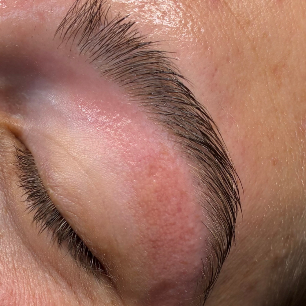 Brow Wax at Beautyybydani in Red Bluff, CA