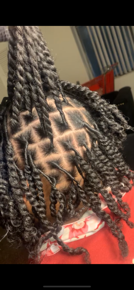 Starter Locs at Cierra Donahue in Waterford, MI