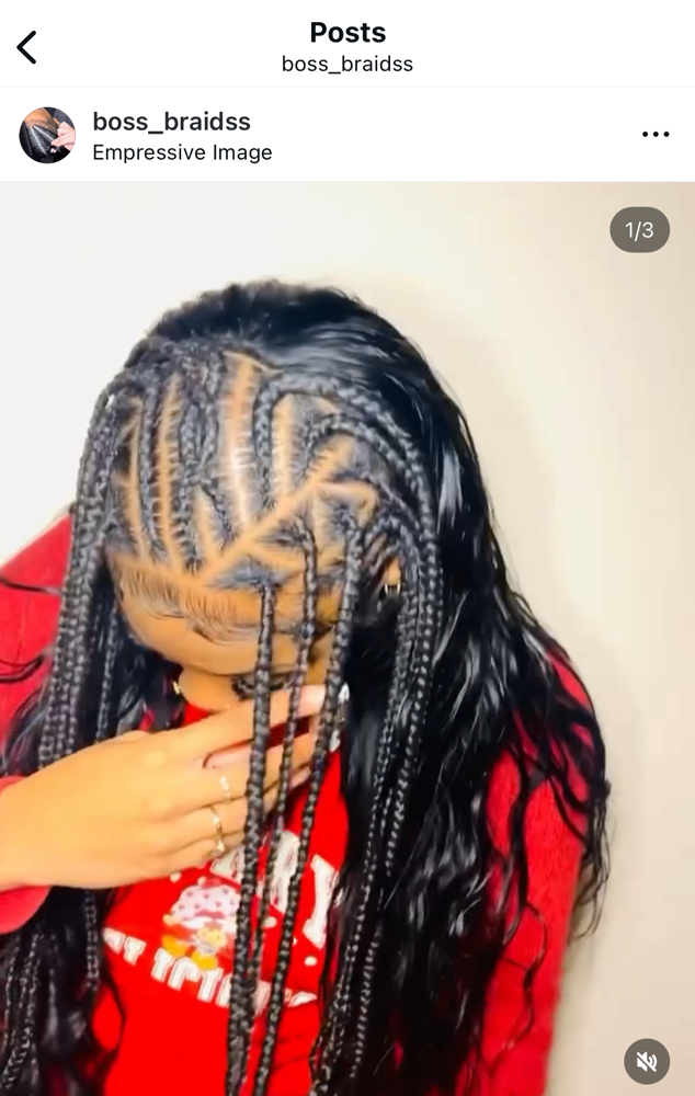 Flip Braids
