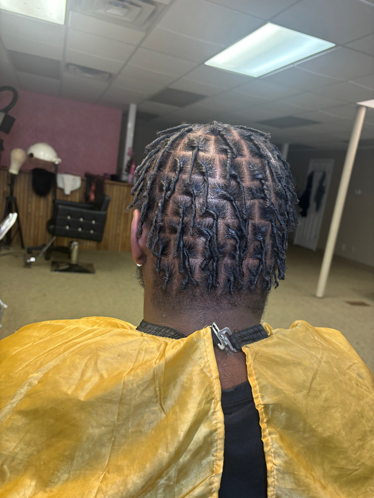 Starter Locs