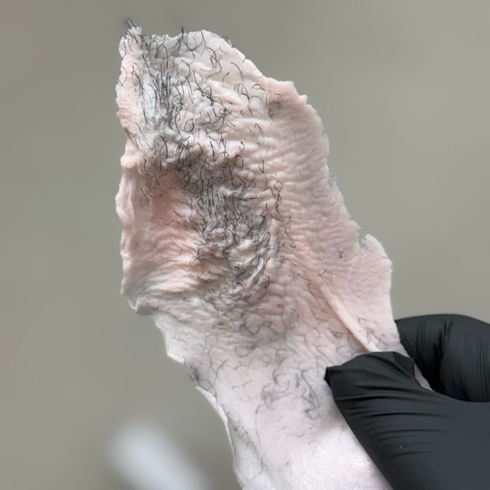 Brazilian Wax at Botanical Beauty Bar in Austin, TX