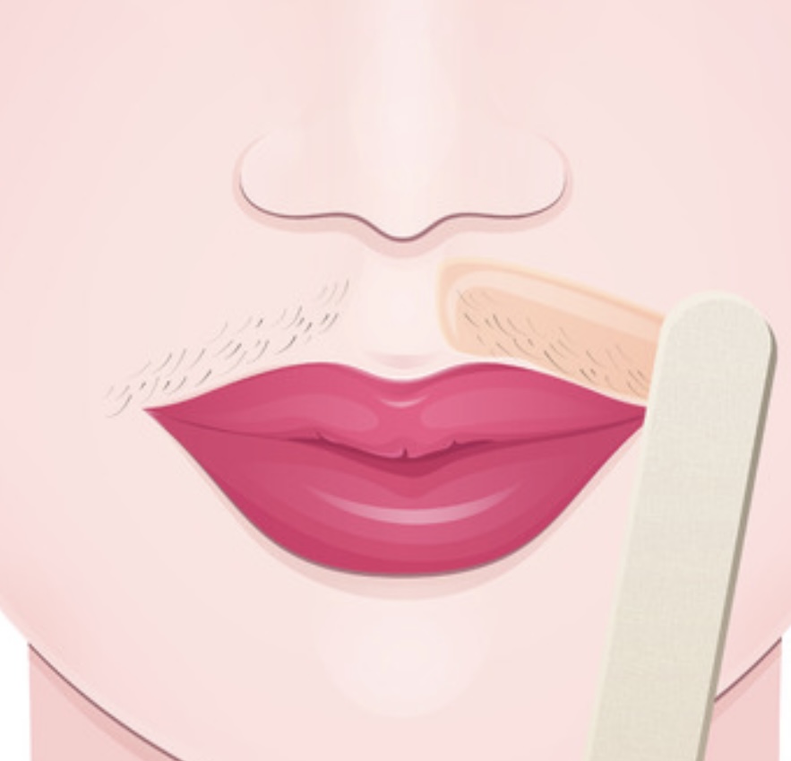 Upper Lip