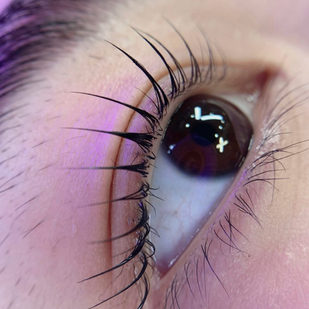 Korean Lashlift And Tint at Sophie Brows And Lashes in Silver Spring, MD