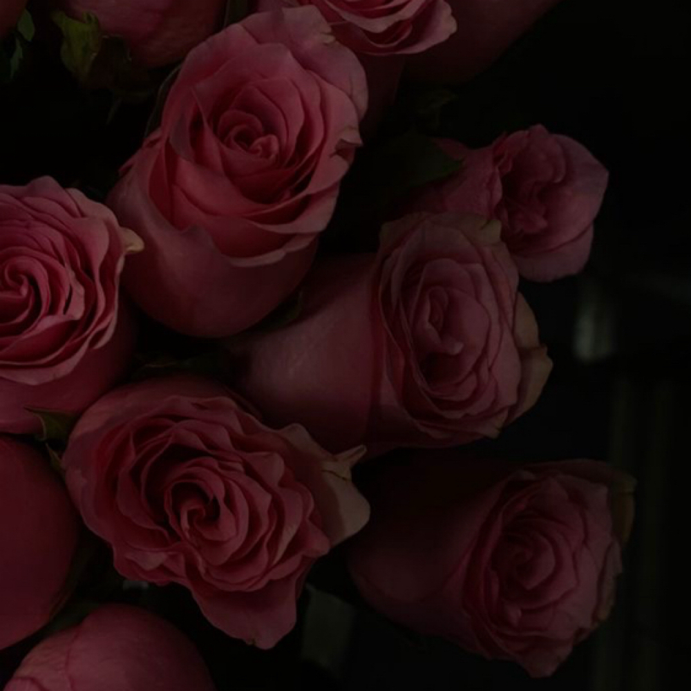 Nose Wax at Kyrie Cecil Esthetics in Tucson, AZ