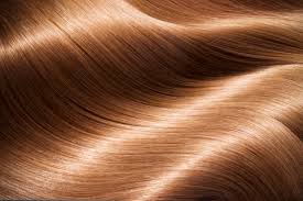 Hair Gloss Treatment at Echelon Beauty and Glam Bar in Dallas, TX