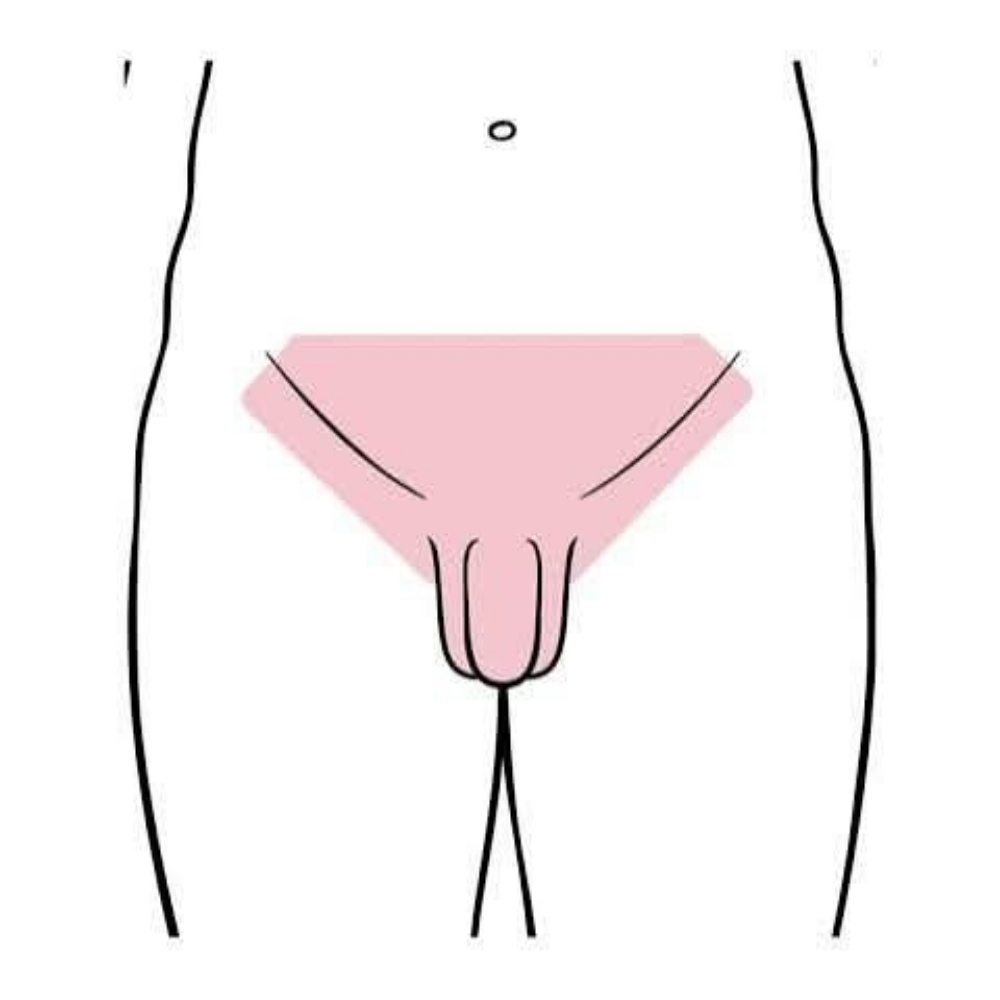 Manzilian at Bare Necessities Wax & Beauty LLC💋 in Crest Hill, IL
