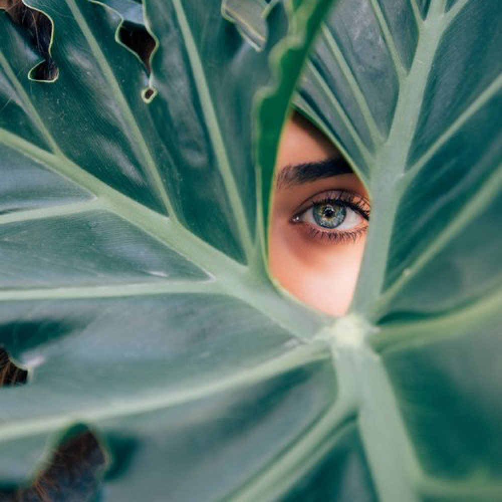 The Naturalist at Encore Skin Boutique in Meridian, ID