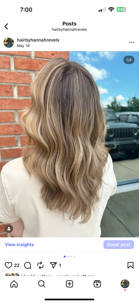 Half Blonding Service