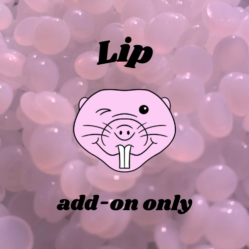 Lip • ADD ON ONLY