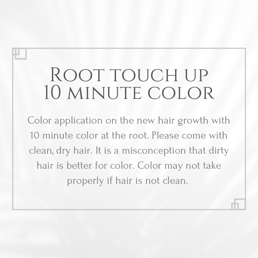 Root Touch Up 10 Minute Color