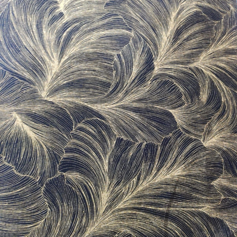 Add on - Blowout at avianadoeshair in Phoenix, AZ