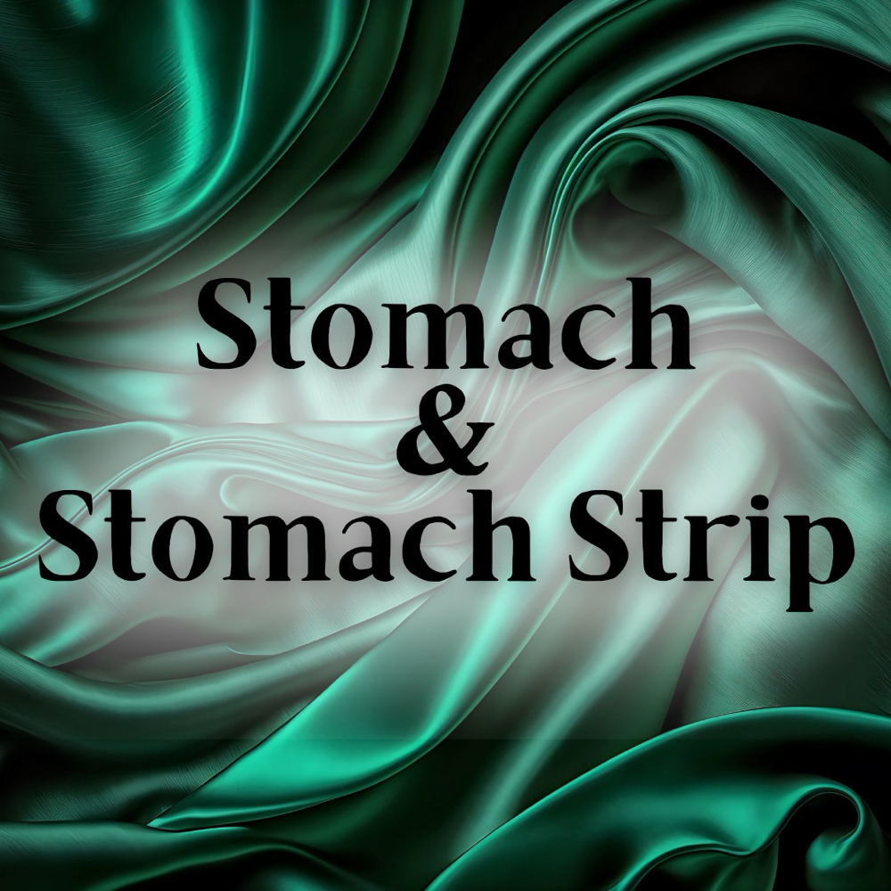 Stomach