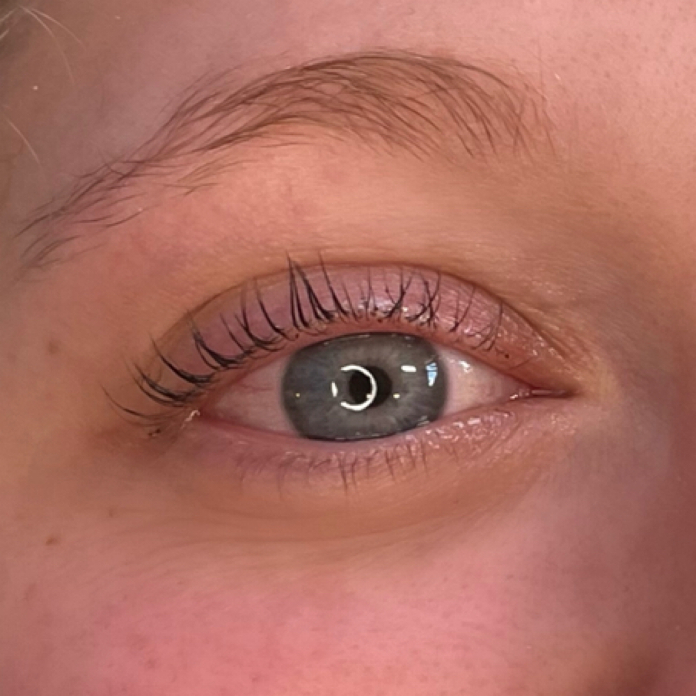 Lash Tint at Plum Esthetics in San Antonio, TX