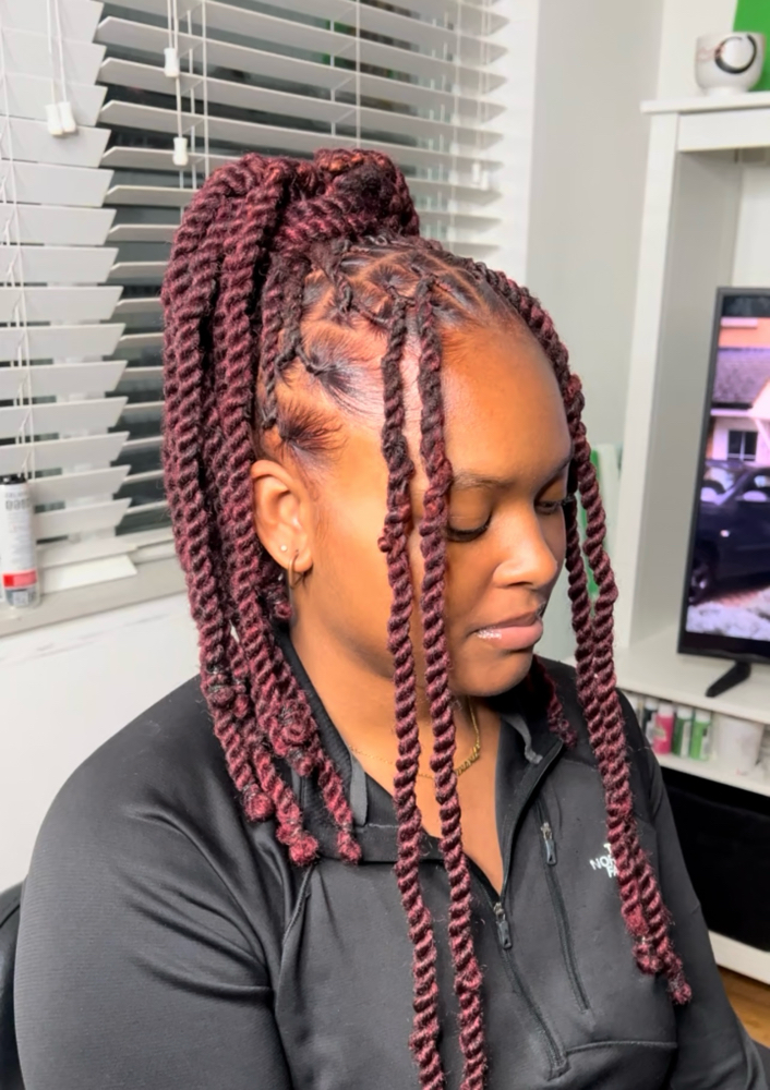 Extended 2 Strand (Past Mid Back)