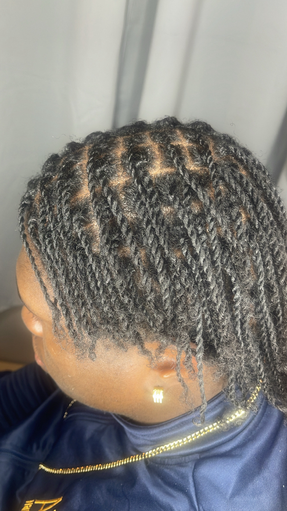 Two Strand Twist Partial Head