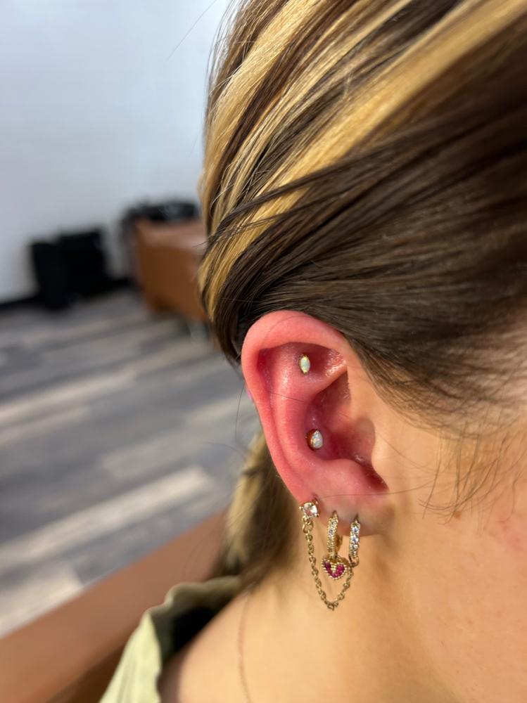 Conch