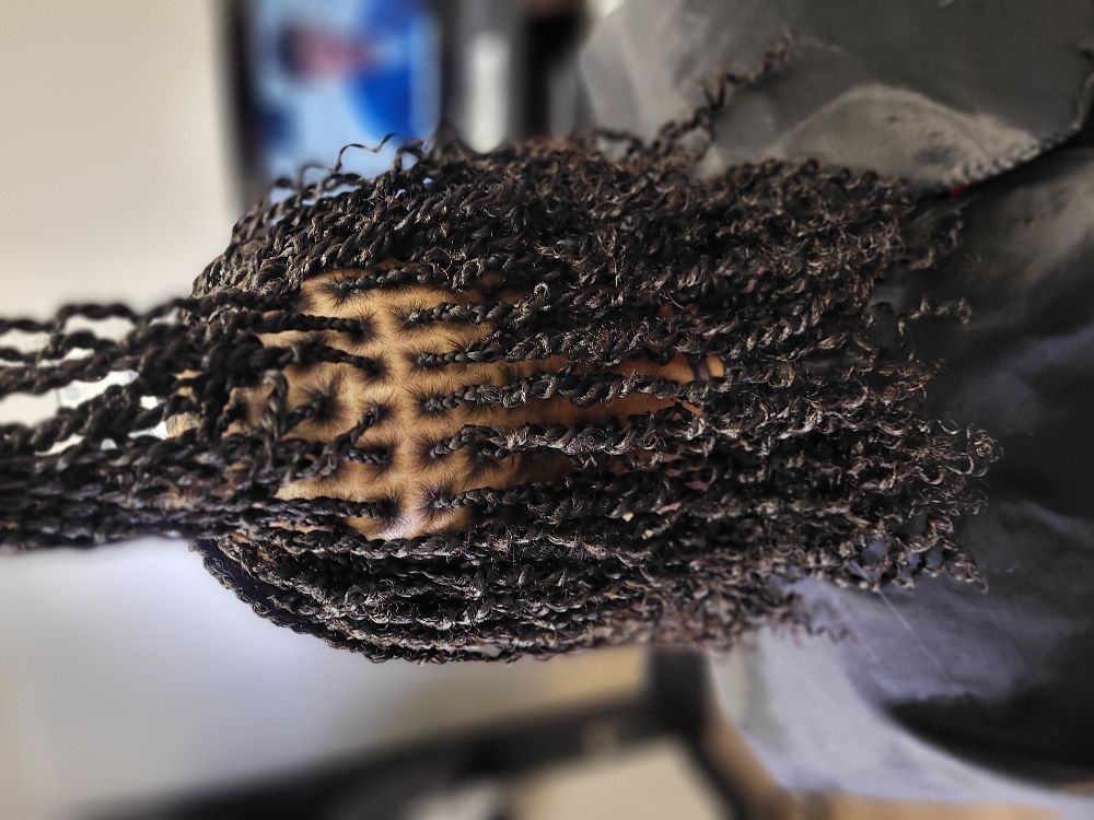 Mini Twist With Extentions