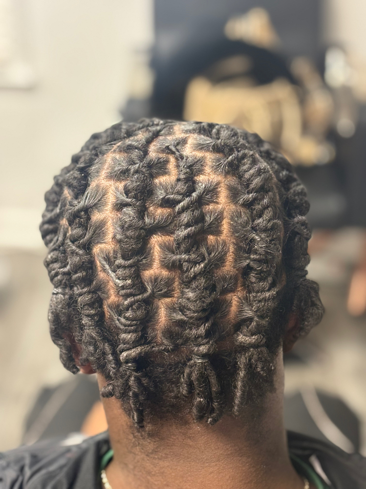 Starter Locs Twists