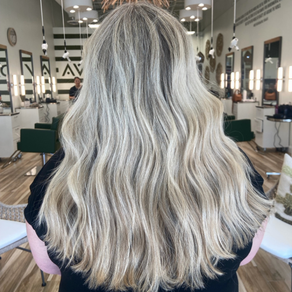 Full Standard Highlight