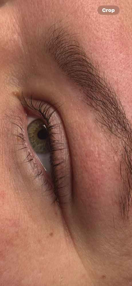 Lash tint at Dreamy Eyes And Skin in Palm Springs, FL
