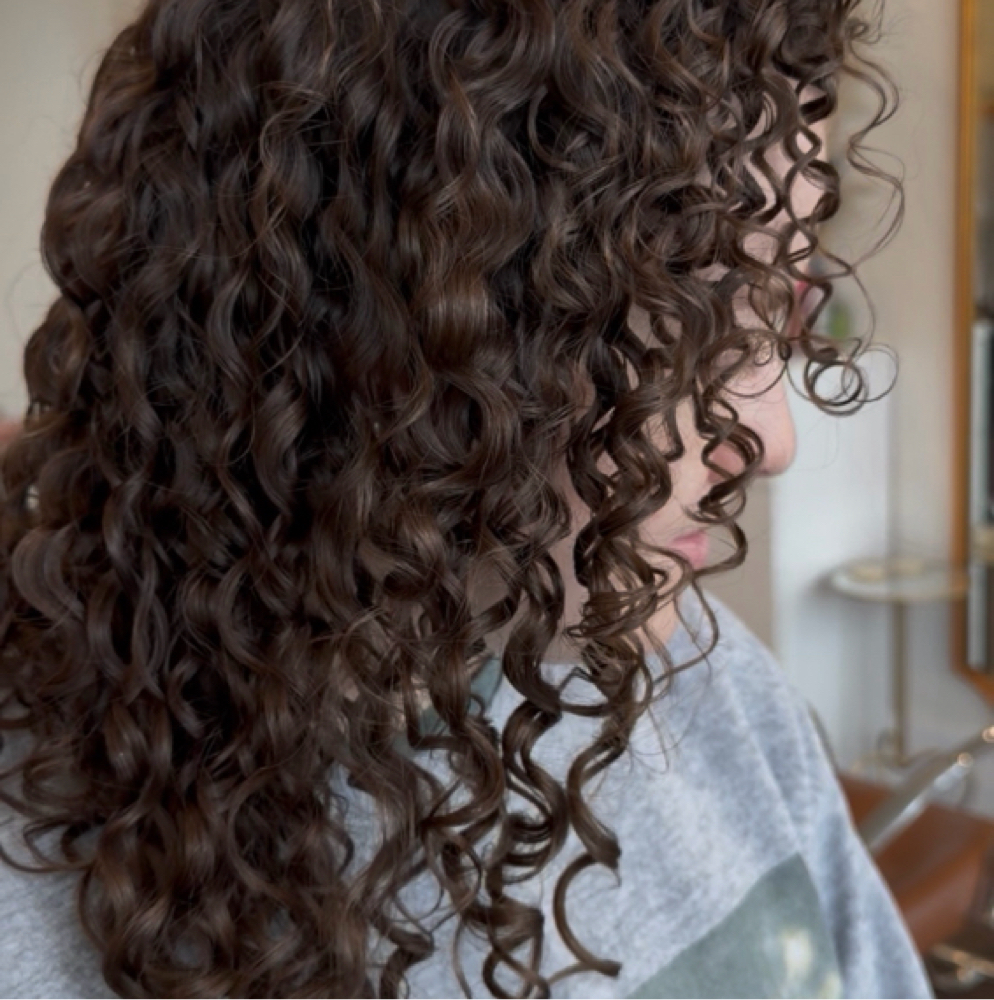 Curly Cut at Grace Kreider in Dayton, OH